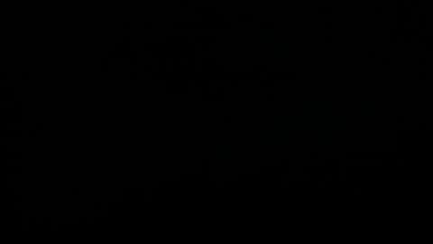 Mila online show from November 2025 08:30:02 AM