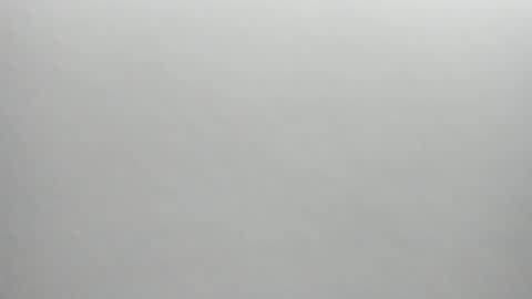 Snapshot of synop_sis chatting on December 2025 01:44:01 AM Mila online show from December 2025 01:44:01 AM