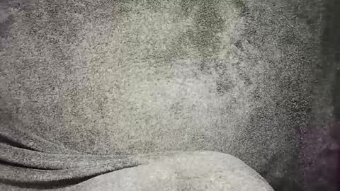 t0ny_cawk online show from December 2024 07:54:02 AM