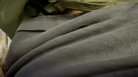 tRex online show from October 2025 01:03:01 AM