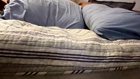 tRex online show from November 2025 12:43:01 AM