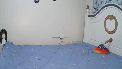 TOKYO online show from December 2025 04:16:01 PM