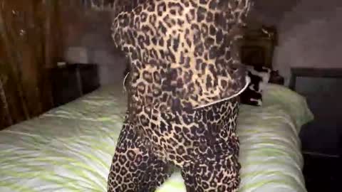 Snapshot of tachita chatting on November 2025 11:36:02 AM Tachita online show from November 2025 11:36:02 AM