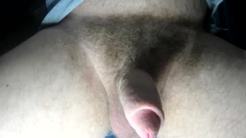 Snapshot of tacosize chatting on January 2025 08:21:01 PM mr taco online show from January 2025 08:21:01 PM