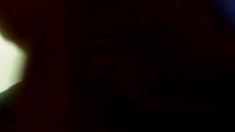 tailchasing online show from December 2024 03:15:02 AM