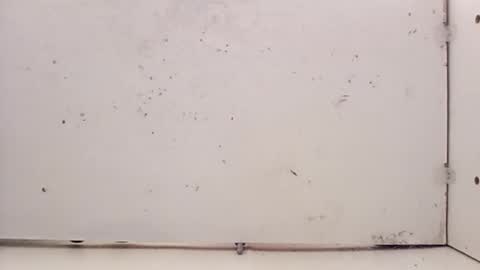 tall6feet7inch online show from February 2026 05:24:01 PM