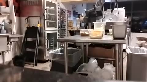 Snapshot of talldrink62 chatting on September 2025 02:44:01 AM The Man of Steel online show from September 2025 02:44:01 AM