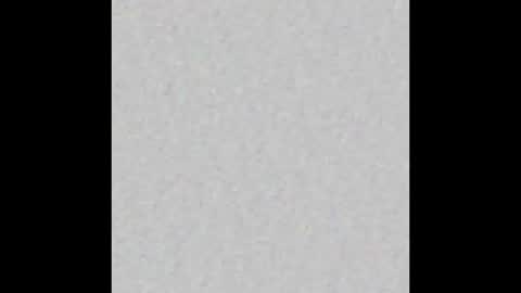 talleva online show from February 2025 12:03:02 PM