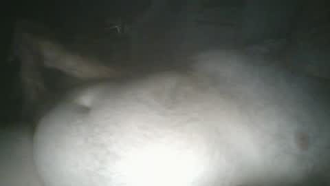 Snapshot of tallicas2000 chatting on July 2026 01:44:02 AM tallicas2000 online show from July 2026 01:44:02 AM