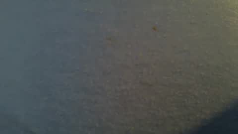 tallwxguy online show from May 2026 06:13:01 PM