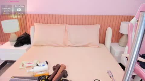 Snapshot of tamara_saenz19 chatting on November 2025 11:25:02 AM Rousaly online show from November 2025 11:25:02 AM