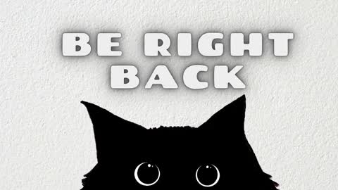 Rousaly online show from February 2026 11:26:01 AM