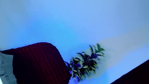 Snapshot of tamera_cummer0969 chatting on November 2025 07:57:01 PM tamera_cummer0969 online show from November 2025 07:57:01 PM