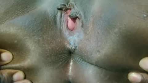 Tara online show from February 2025 03:20:01 AM