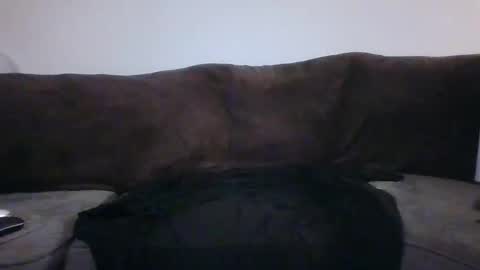 Snapshot of tarshil017 chatting on November 2025 08:26:02 AM tarshil017 online show from November 2025 08:26:02 AM