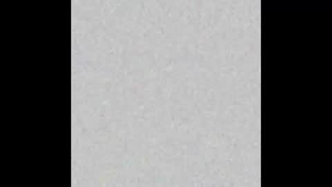 Taste online show from February 2025 09:33:01 AM