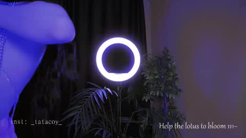 TataCoy online show from October 2025 02:07:02 PM