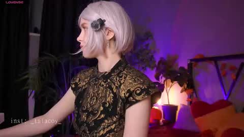 TataCoy online show from November 2025 12:16:02 PM