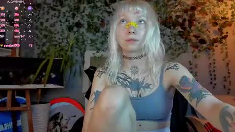 tattoo_artbaby online show from August 2026 05:31:01 AM