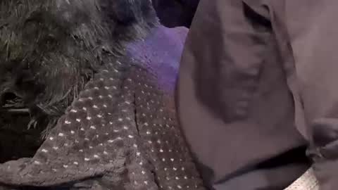 Snapshot of tattooman777 chatting on December 2025 11:47:01 AM Jean pool online show from December 2025 11:47:01 AM