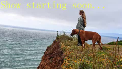 TATUM  ALL MY LINKS  online show from February 2025 11:21:02 PM