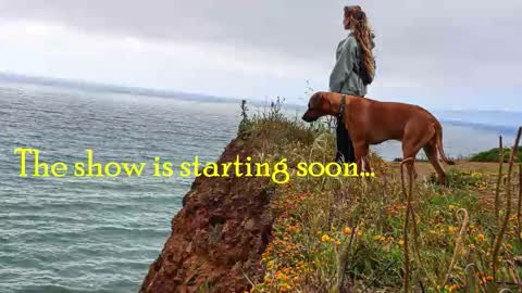 TATUM  ALL MY LINKS  online show from October 2025 11:49:01 PM