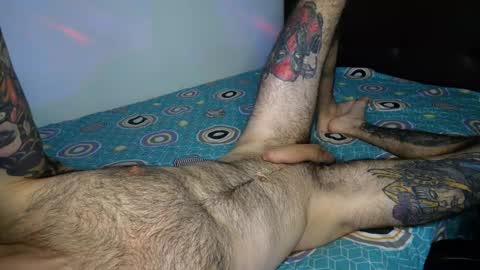 Taylor online show from February 2026 07:45:02 AM