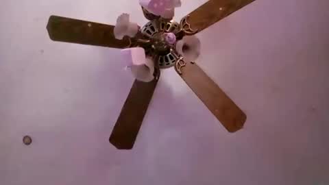 td42020 online show from September 2025 06:53:01 PM