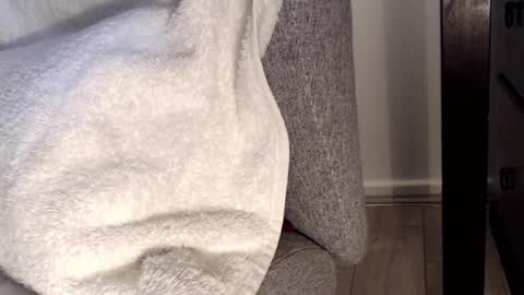 Tedging2 online show from January 2025 01:05:01 PM