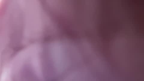 Twizzler online show from March 2025 01:43:01 AM