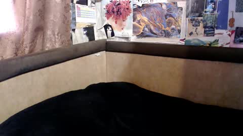 Snapshot of telema_ chatting on October 2025 02:07:01 PM ruth online show from October 2025 02:07:01 PM