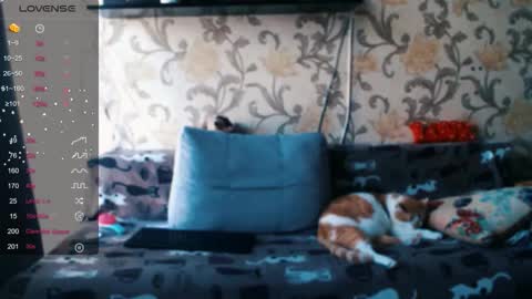 Ada  online show from December 2025 09:38:01 AM