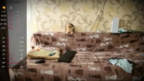 Ada  online show from January 2026 01:24:02 PM