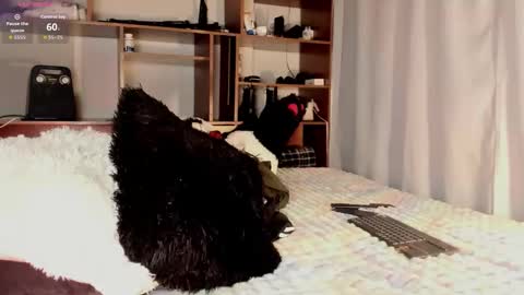 Teo online show from March 2026 10:04:02 PM