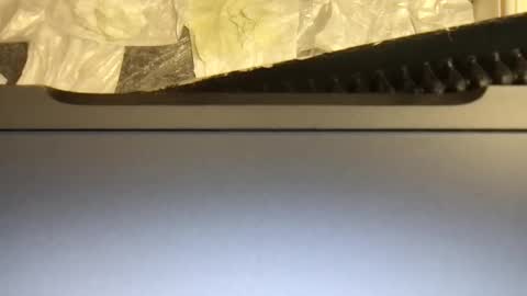 Snapshot of terence00000007 chatting on November 2025 04:55:01 AM Terence online show from November 2025 04:55:01 AM