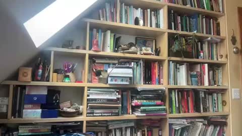 Terra Worship Findomme online show from March 2025 06:01:02 PM