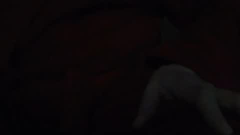 tetuo2 online show from November 2025 05:13:02 AM