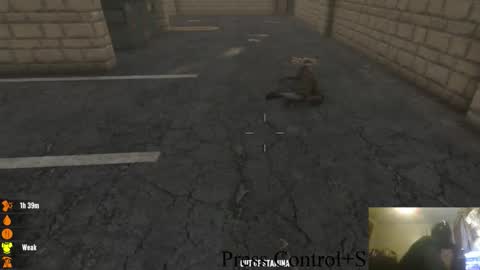 . online show from October 2025 01:42:01 AM