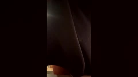 Snapshot of th3xgoat chatting on February 2026 07:20:02 PM Wildeman online show from February 2026 07:20:02 PM