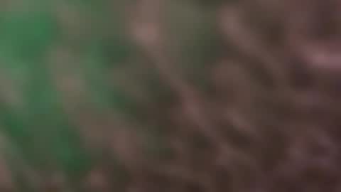 thankyoudaddy1 online show from March 2026 09:25:02 AM