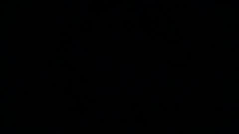 Snapshot of that_one_guy_from_cb chatting on February 2025 02:55:01 AM Duke online show from February 2025 02:55:01 AM