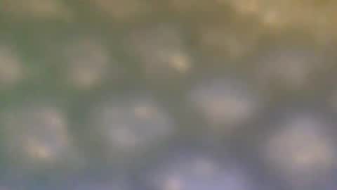 Snapshot of that_thing20 chatting on March 2025 07:06:02 PM that_thing20 online show from March 2025 07:06:02 PM