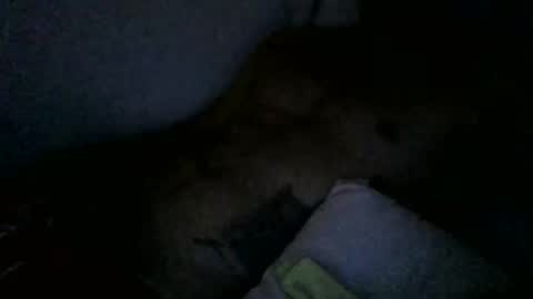 Snapshot of the_famous_666 chatting on January 2025 10:57:01 AM Braza666 online show from January 2025 10:57:01 AM