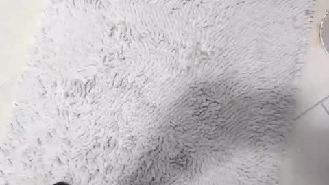 TheOne online show from April 2026 08:42:02 PM