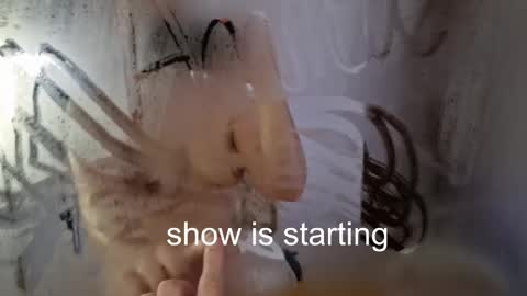 Anna online show from May 2026 12:05:01 AM
