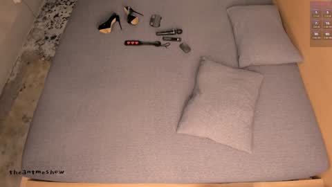 Snapshot of theanytimeshow chatting on September 2025 04:19:01 PM Anny online show from September 2025 04:19:01 PM