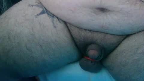 The Bear online show from July 2026 07:34:01 AM