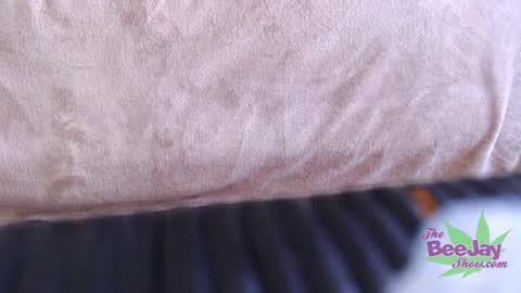 Snapshot of thebeejayshow chatting on December 2024 05:05:02 AM TheBeeJayShow online show from December 2024 05:05:02 AM