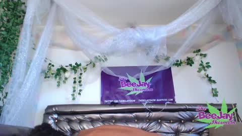 Snapshot of thebeejayshow chatting on December 2024 09:57:01 PM TheBeeJayShow online show from December 2024 09:57:01 PM