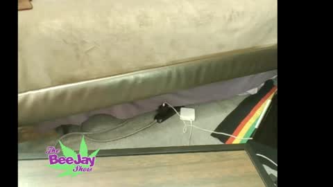 TheBeeJayShow online show from May 2026 01:48:02 PM